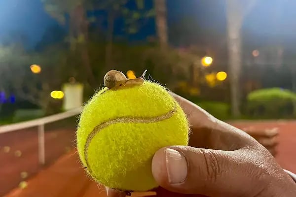 Alanya profesyonel tennis coach - Resim 2