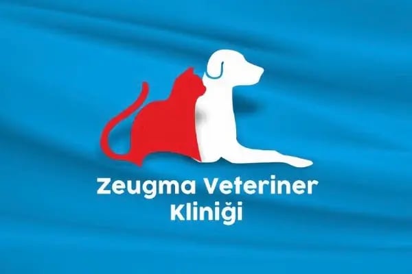 ZEUGMA VETERİNER KLİNİĞİ - Resim 11