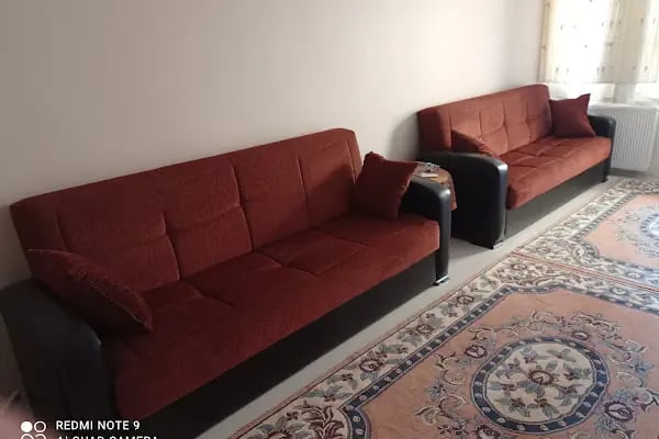 Gemlik Discus Akvaryum &amp; Petshop - Resim 5