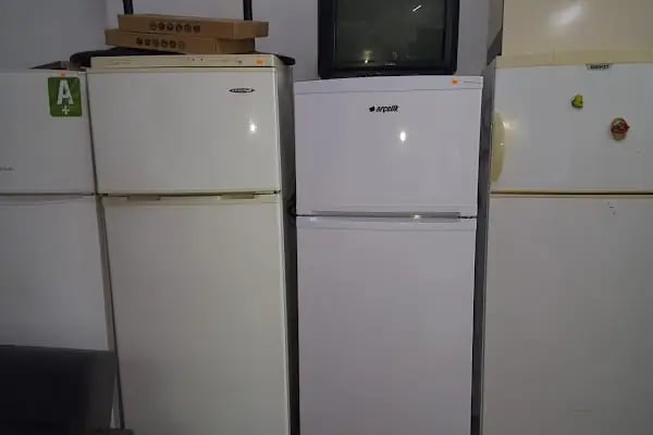 Gemlik Discus Akvaryum &amp; Petshop - Resim 7