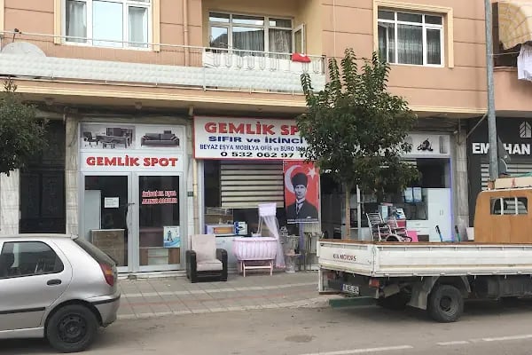 Gemlik Discus Akvaryum &amp; Petshop - Resim 8