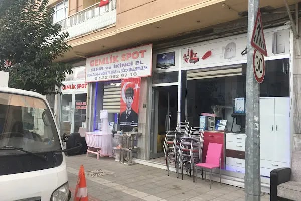 Gemlik Discus Akvaryum &amp; Petshop - Resim 1