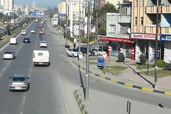 Artıvet Veteriner Hekimi Arif Oğuzkan - Resim 3