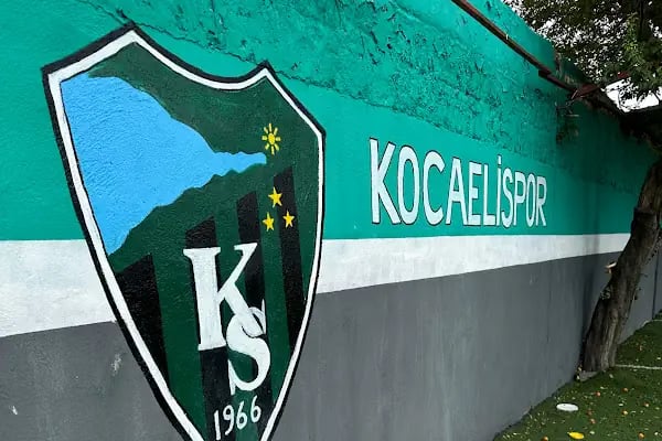 ÇAYIROVA KOCAELİSPOR FUTBOL OKULU - Resim 1