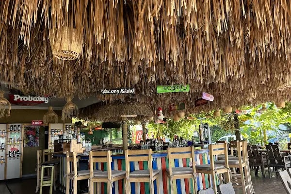 Reggae bar Alanya - Resim 12