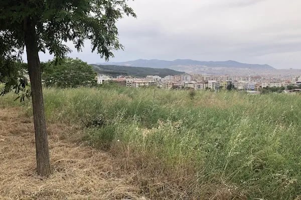 Dokuz Eylül Üniversitesi Denizcilik Fakültesi - Resim 6