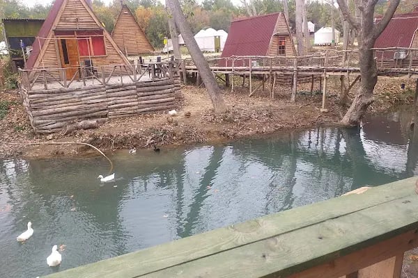 Demircioğlu Camping - Resim 3