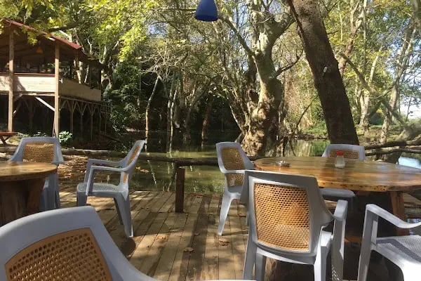 Demircioğlu Camping - Resim 16