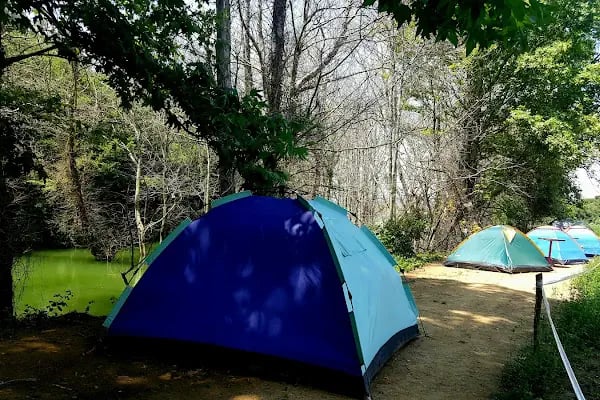 Demircioğlu Camping - Resim 20