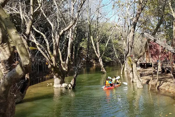 Demircioğlu Camping - Resim 8
