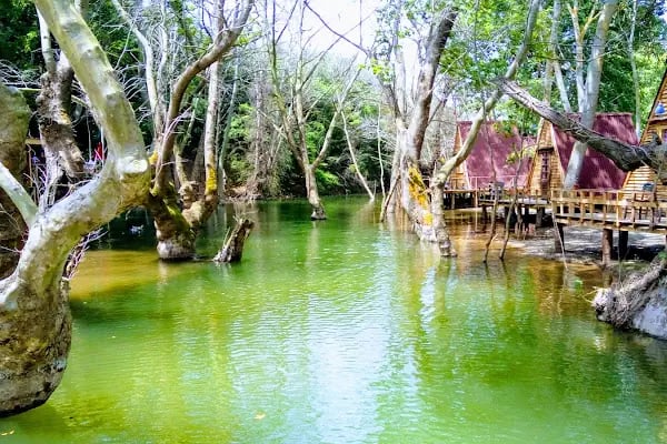 Demircioğlu Camping - Resim 5