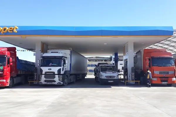 Aslanlar Antalya Opet - Resim 8