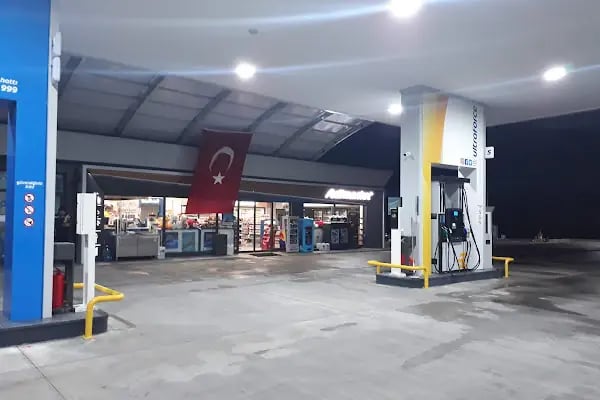 Aslanlar Antalya Opet - Resim 6