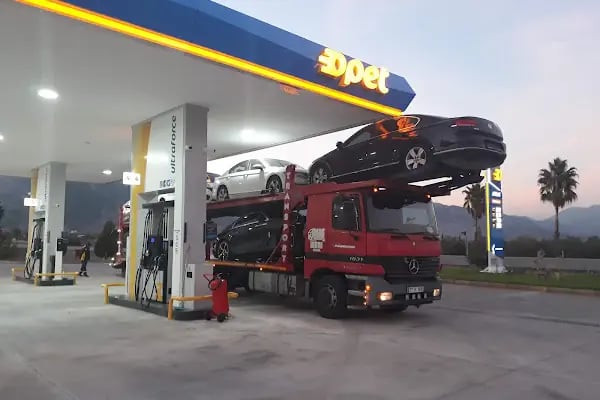 Aslanlar Antalya Opet - Resim 3