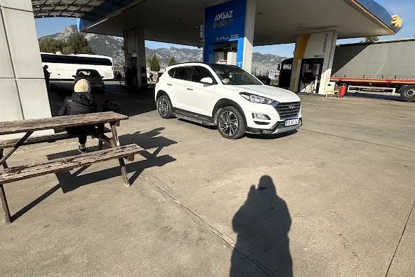 Aslanlar Antalya Opet - Resim 14