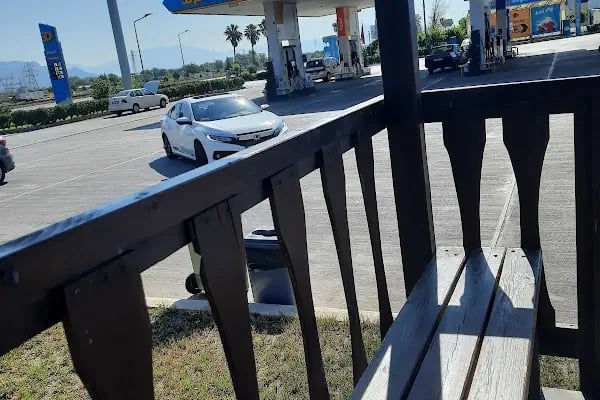 Aslanlar Antalya Opet - Resim 19