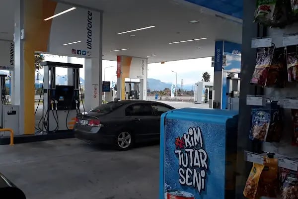 Aslanlar Antalya Opet - Resim 18