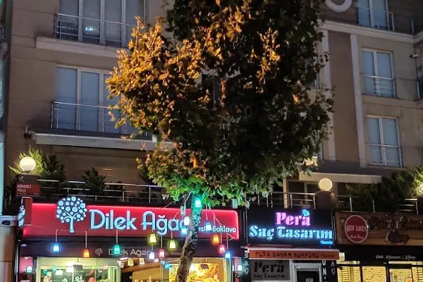 Dilek Ağacı - Resim 1