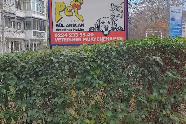 Pet Klinik Gül Arslan - Resim 7