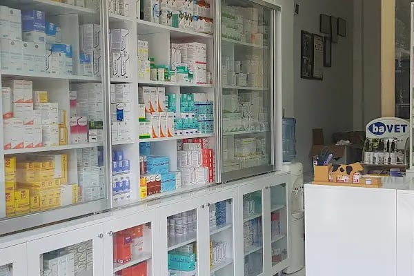 Şifa Veteriner Kliniği - Resim 4