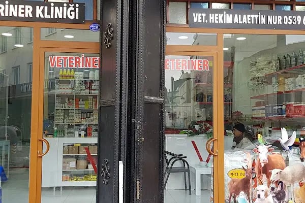 Şifa Veteriner Kliniği - Resim 3