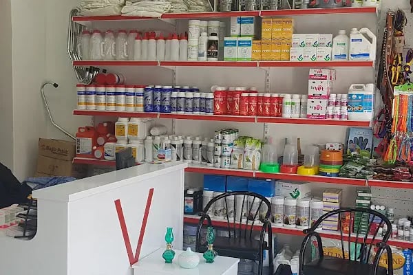 Şifa Veteriner Kliniği - Resim 2