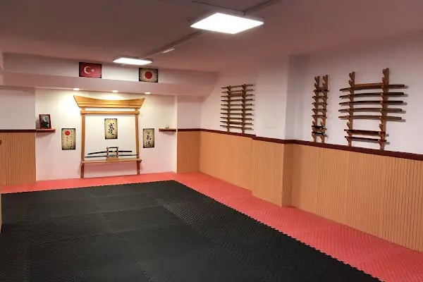 Adana Aikido Budo (Jujitsu - BJJ - Sambo) S.K. (Tiger and Bear Martial Arts) - Resim 6