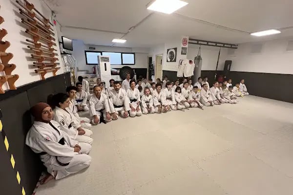 Adana Aikido Budo (Jujitsu - BJJ - Sambo) S.K. (Tiger and Bear Martial Arts) - Resim 19
