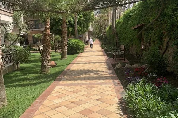 CLUB DİZALYA HOTEL - Resim 17