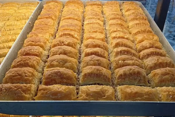 Deniz Pastanesi Finike - Resim 10