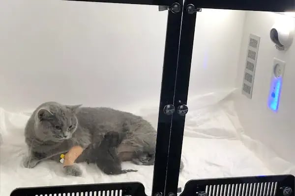 Vetorka Veteriner Kliniği - Resim 16