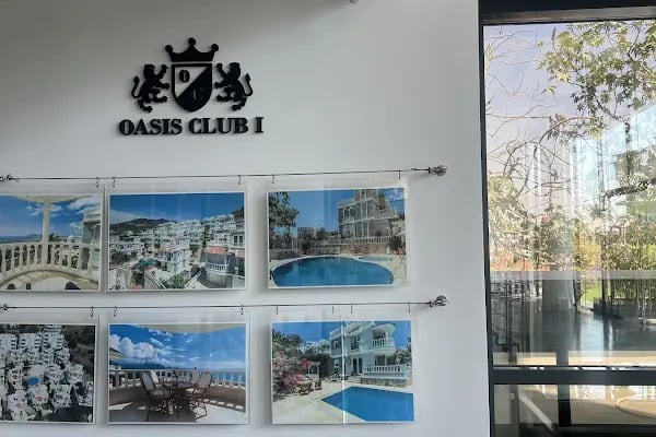 Alanya Çiçekçisi • ALANYA STAR ORGANİZASYON&amp;ÇİÇEK - Resim 7