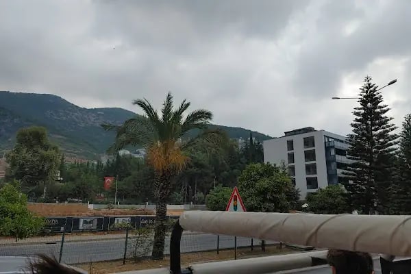 Alanya Çiçekçisi • ALANYA STAR ORGANİZASYON&amp;ÇİÇEK - Resim 16