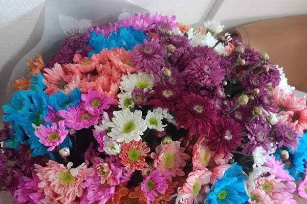 Alanya Çiçekçi - AY Flowers - Resim 8