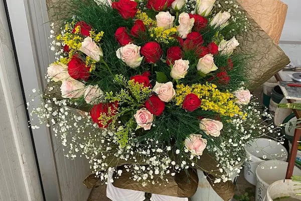 Alanya Çiçekçi - AY Flowers - Resim 5