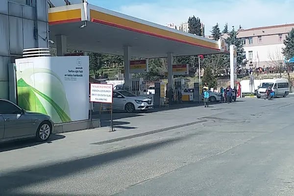 Shell - Resim 8