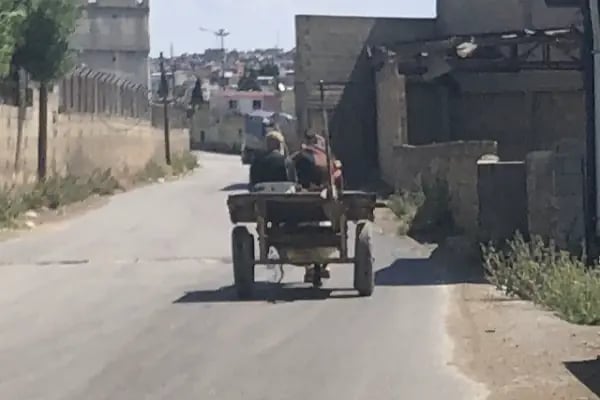 Akfırat Gıda Antep Fıstığı ve Zeytinyağı Tesisleri - Resim 12