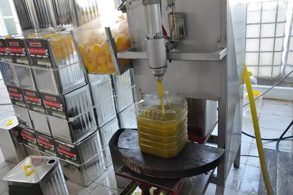 Akfırat Gıda Antep Fıstığı ve Zeytinyağı Tesisleri - Resim 3