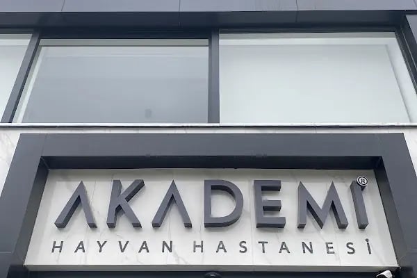 Akademi Kids Hayvan Hastanesi - Resim 3