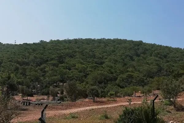 Boğsak Kamping - Resim 18