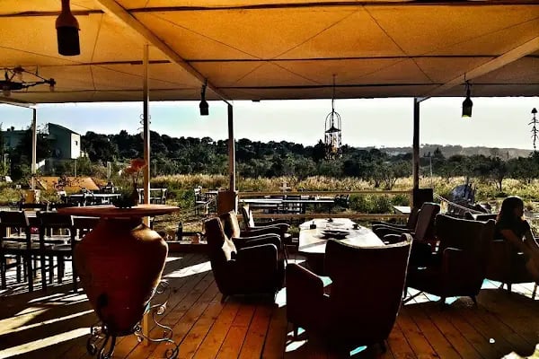 Teos Sanat Kampı -Kamp-Çadır-Bungalow-karavan Konaklama - Resim 15