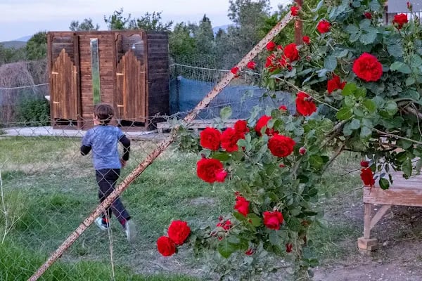 Teos Sanat Kampı -Kamp-Çadır-Bungalow-karavan Konaklama - Resim 12