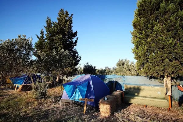 Teos Sanat Kampı -Kamp-Çadır-Bungalow-karavan Konaklama - Resim 4