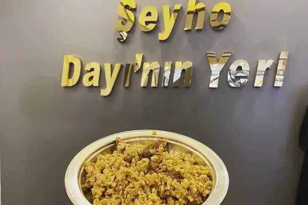 Şeyho Dayının Yeri - Resim 17