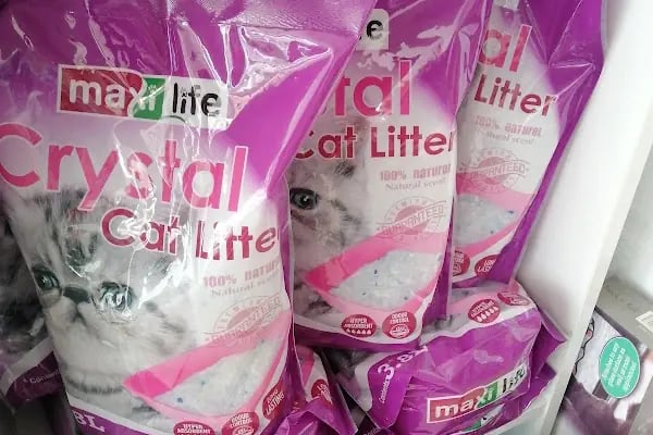 MAYA PET SHOP - Resim 6
