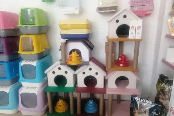 MAYA PET SHOP - Resim 4