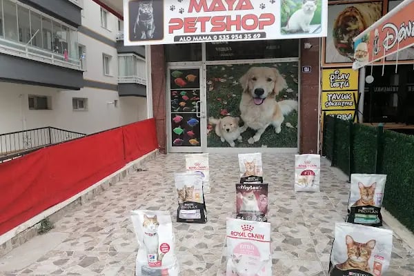 MAYA PET SHOP - Resim 7