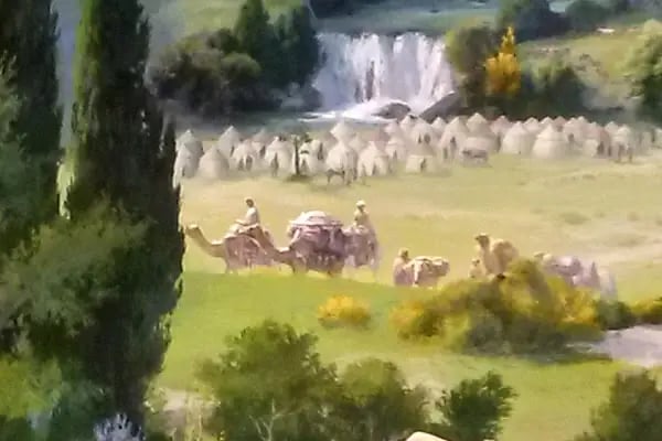 DHL eCommerce - Buttim Şubesi - Resim 4