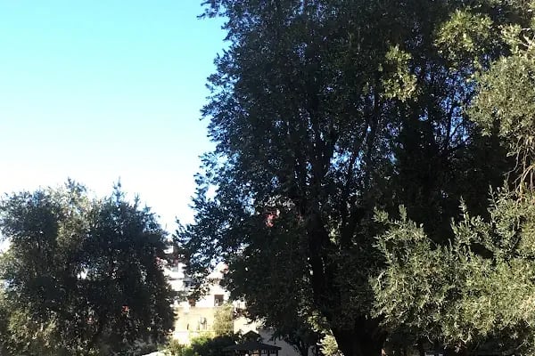 ÇATIKUR İhsan Saniye Şenler Sitesi - Resim 2