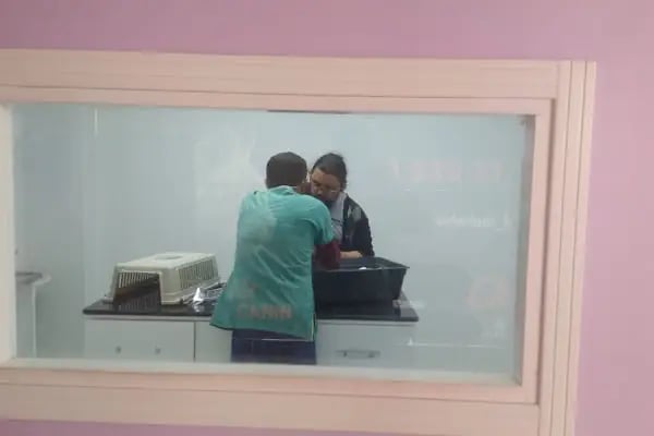 Çerkezköy veteriner kliniği - Resim 12